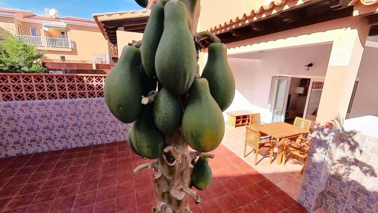 La Casa De La Papaya, By Comfortable Luxury Corralejo Ngoại thất bức ảnh
